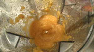 Pureed Apples, SCD Cheese Cake