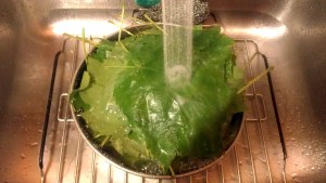 Kettlemeddler.com Dolmadakia