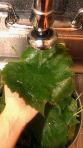 Kettlemeddler.com Vegan Greek Food- Dolmadakia