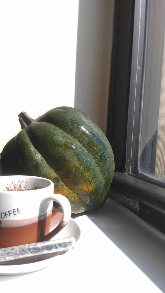 Bad Food Blog Photography